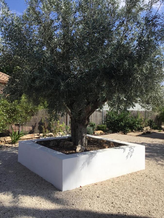 Relax En La Huerta De Murcia Múrcia Exterior foto